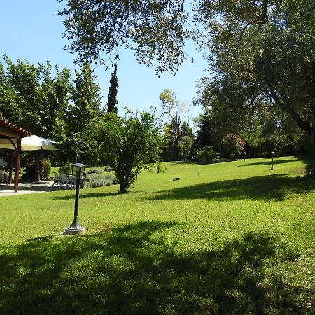Konstantinos'S Luxury Residence Sani Παραλία Σάνη Εξωτερικό φωτογραφία