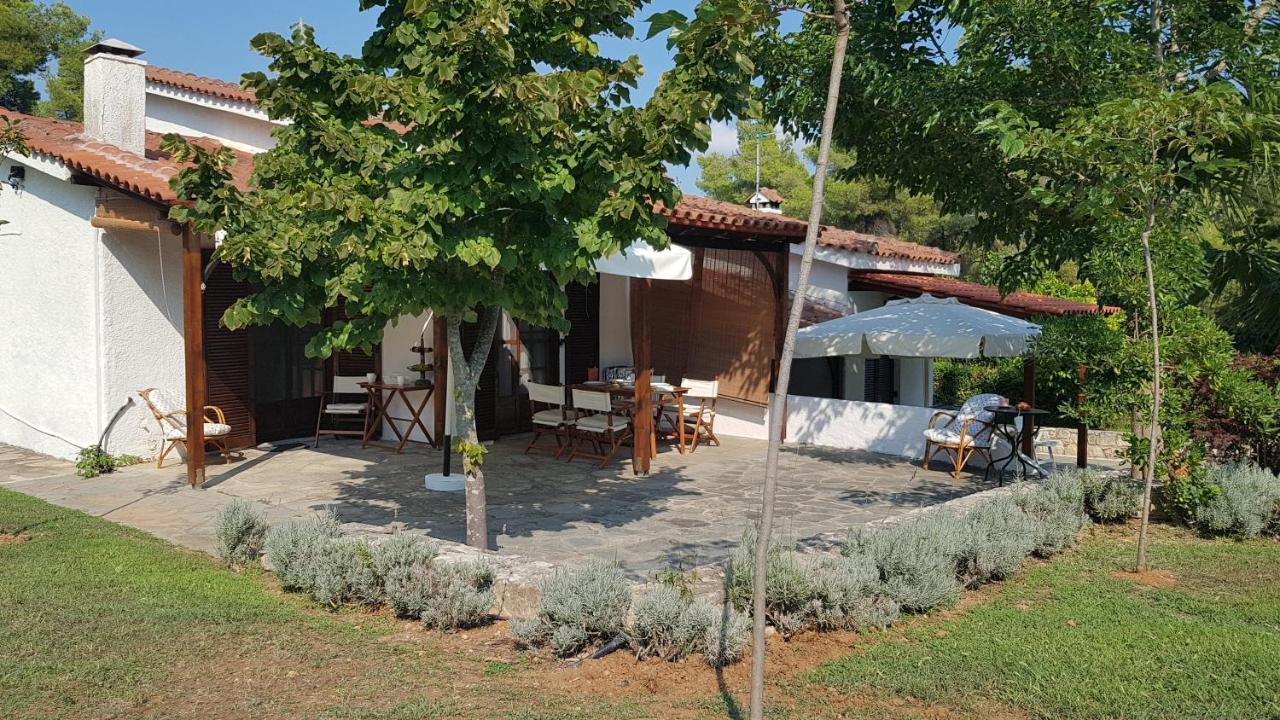 Konstantinos'S Luxury Residence Sani Παραλία Σάνη Εξωτερικό φωτογραφία