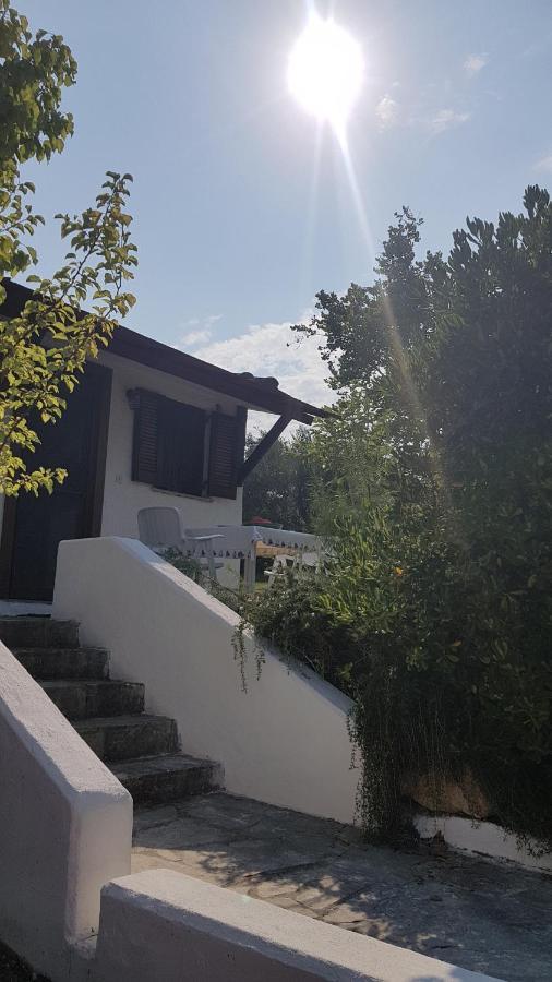 Konstantinos'S Luxury Residence Sani Παραλία Σάνη Εξωτερικό φωτογραφία