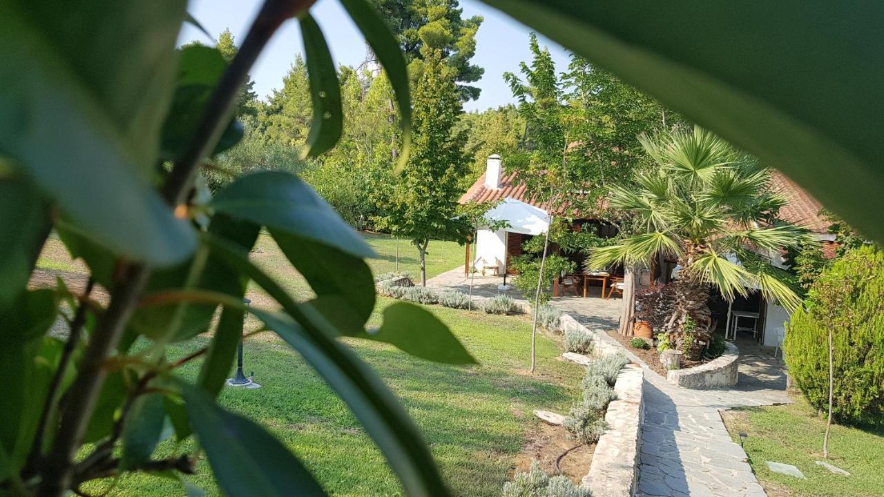 Konstantinos'S Luxury Residence Sani Παραλία Σάνη Εξωτερικό φωτογραφία