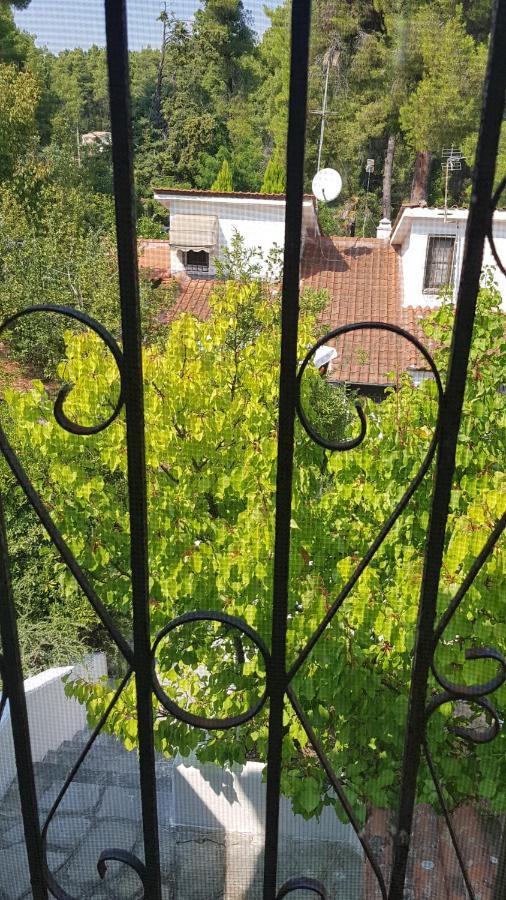 Konstantinos'S Luxury Residence Sani Παραλία Σάνη Εξωτερικό φωτογραφία