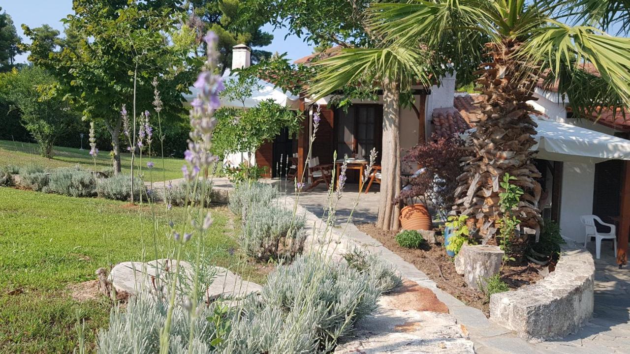 Konstantinos'S Luxury Residence Sani Παραλία Σάνη Εξωτερικό φωτογραφία