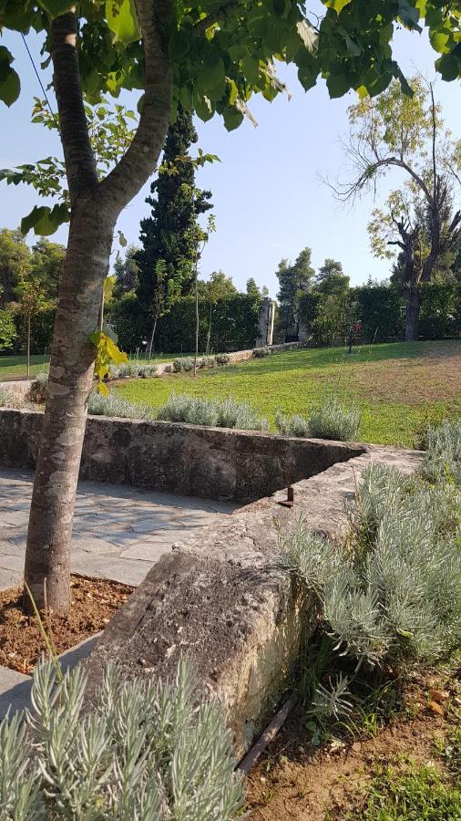 Konstantinos'S Luxury Residence Sani Παραλία Σάνη Εξωτερικό φωτογραφία