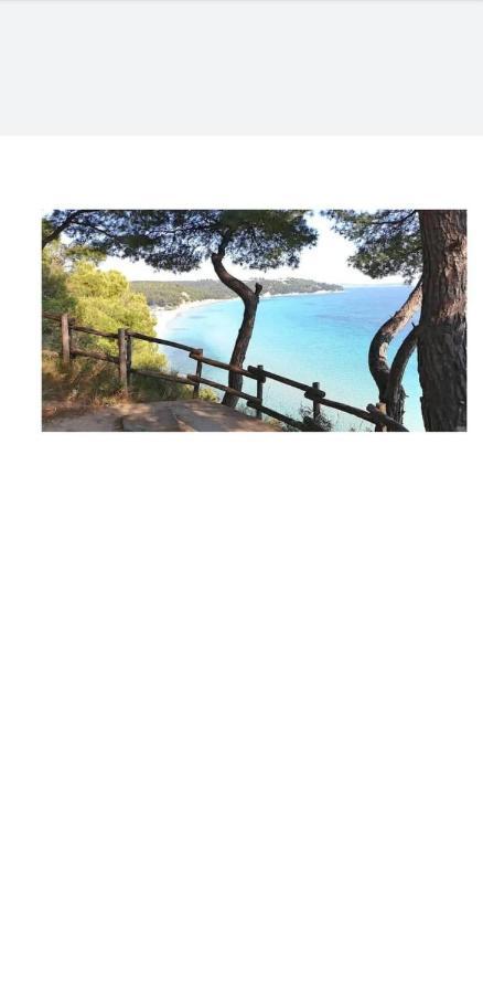 Konstantinos'S Luxury Residence Sani Παραλία Σάνη Εξωτερικό φωτογραφία
