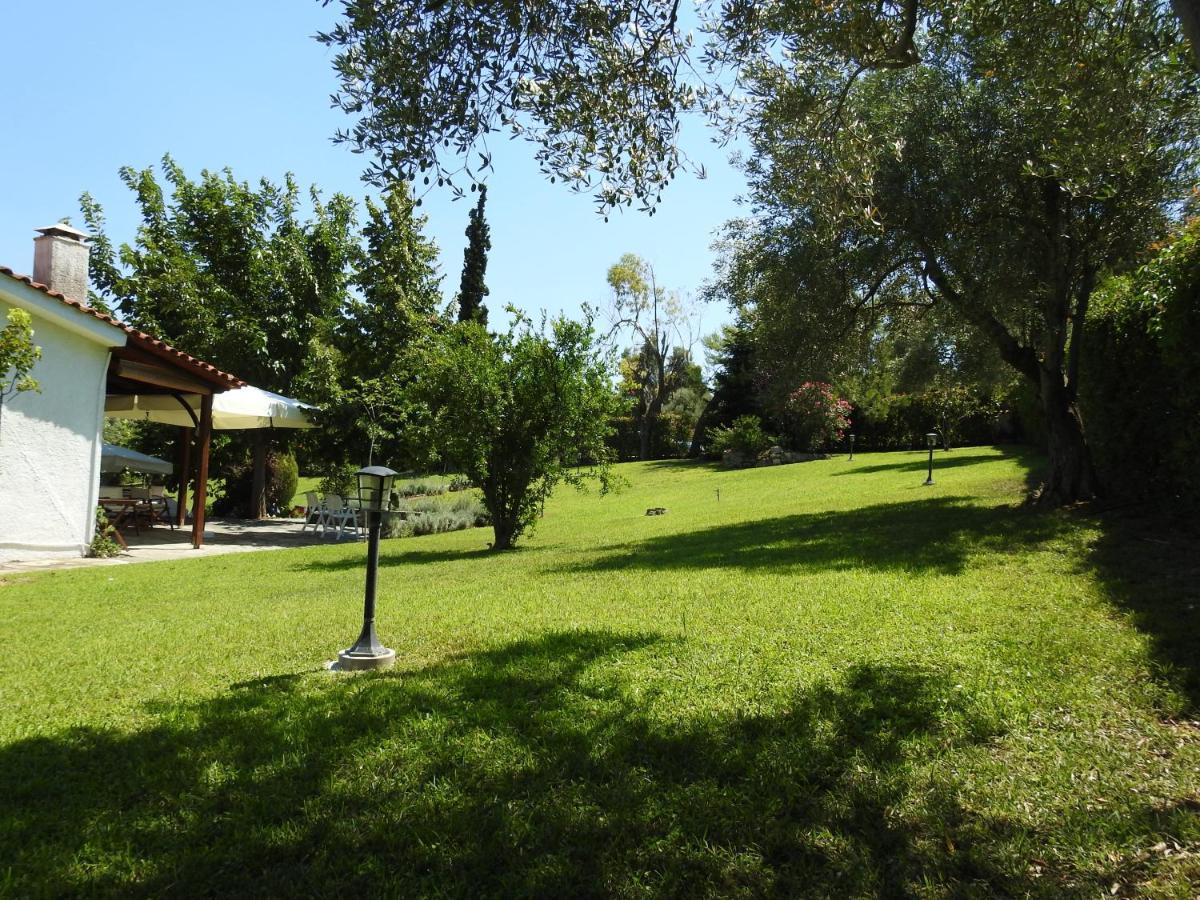 Konstantinos'S Luxury Residence Sani Παραλία Σάνη Εξωτερικό φωτογραφία